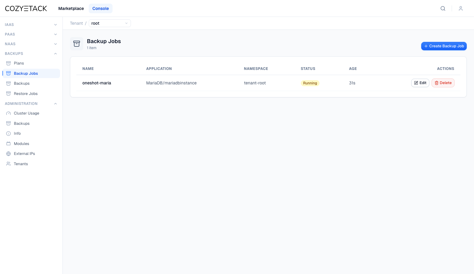 BackupJob status showing phase Succeeded with backup artifact details